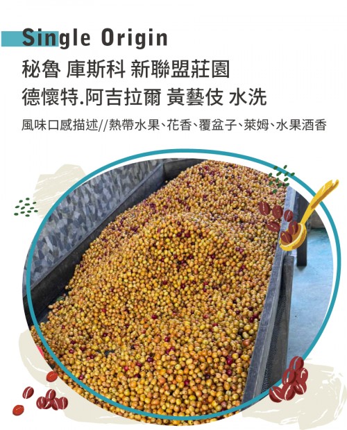◇Peru 2025 COE Rank #5◇ 秘魯 庫斯科 新聯盟莊園 德懷特.阿吉拉爾 黃藝伎 水洗